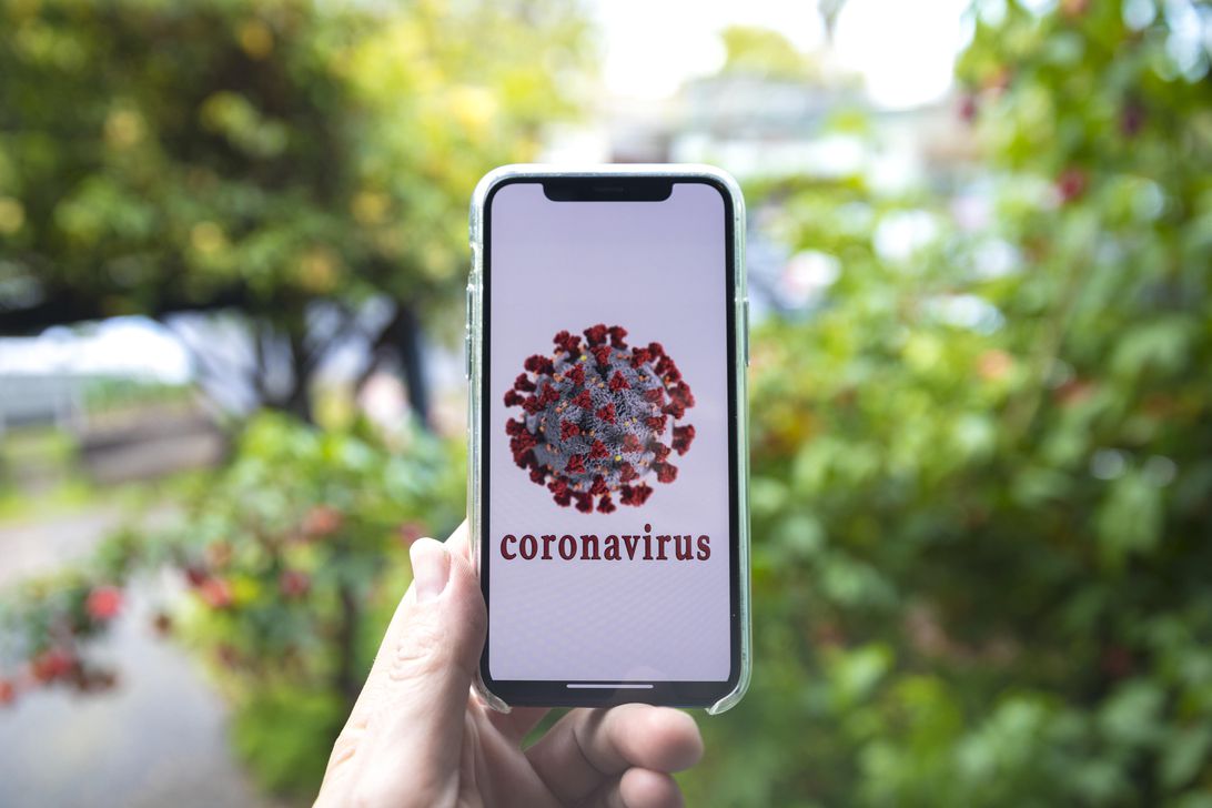 Coronavirus phone