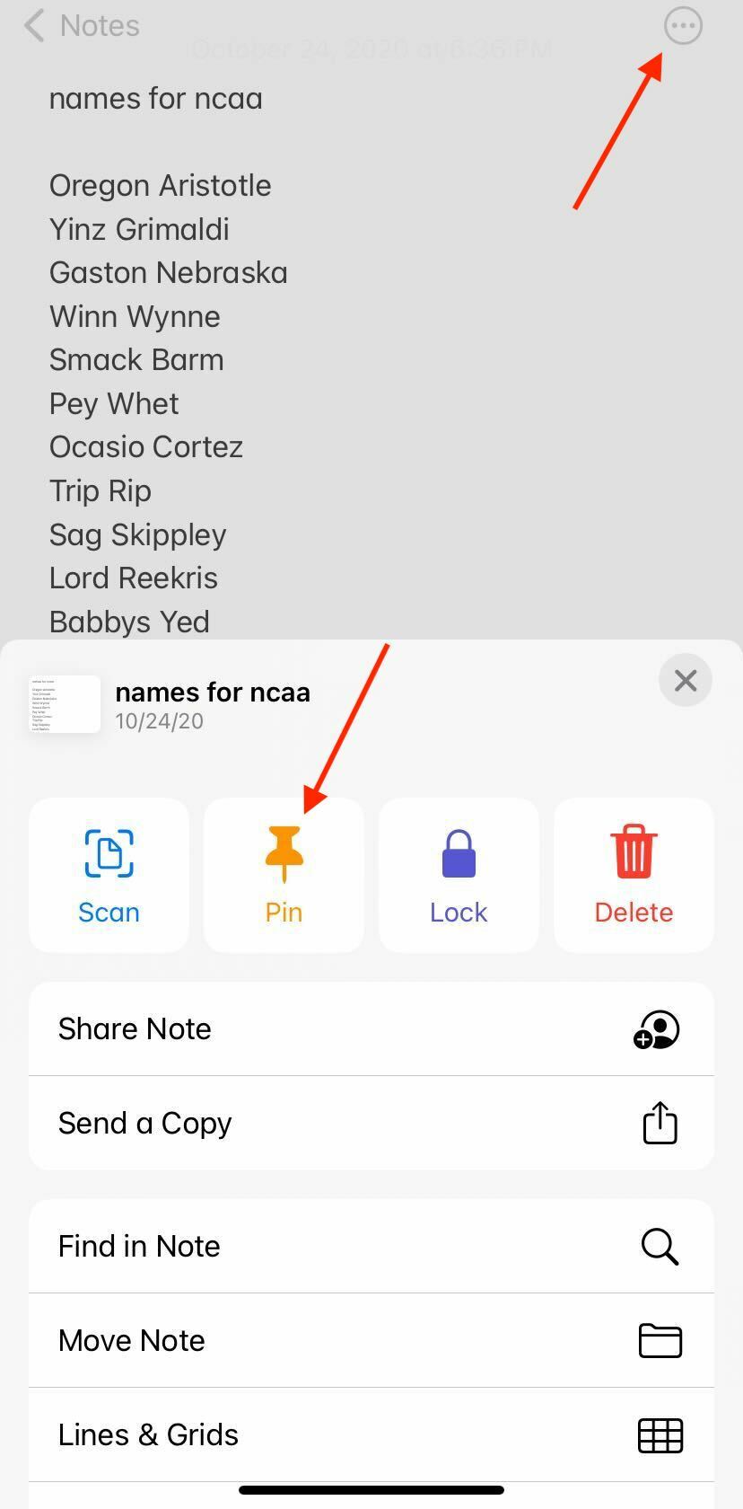 screenshot showing where to click to pin note