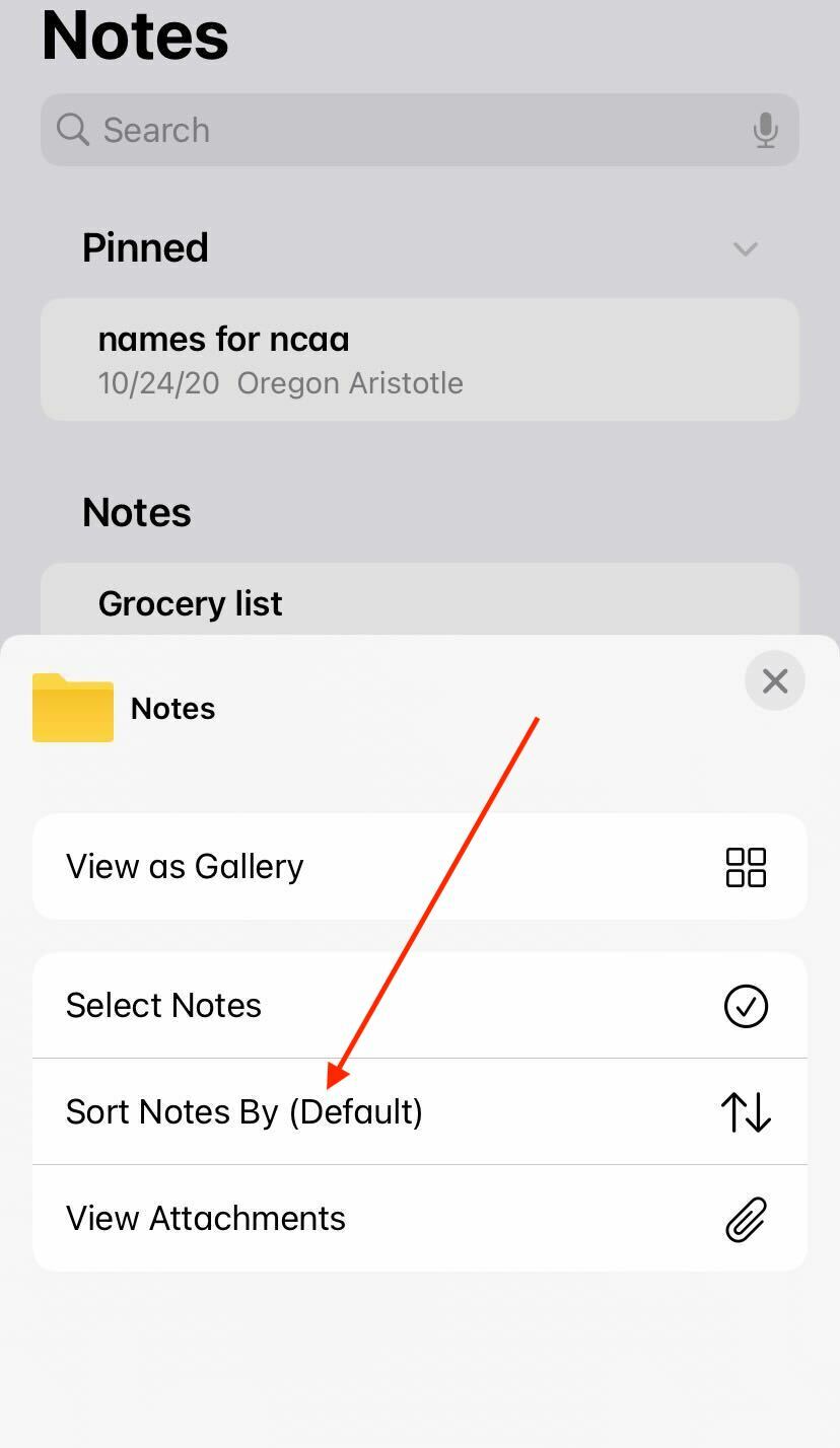screenshot of grocery list with checked items