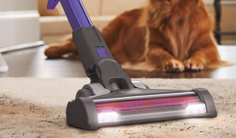 The best handheld vacuums for tackling pet hair