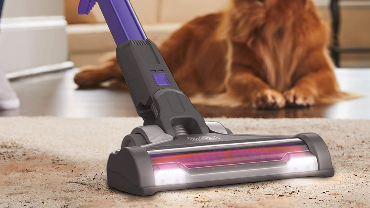 The best handheld vacuums for tackling pet hair