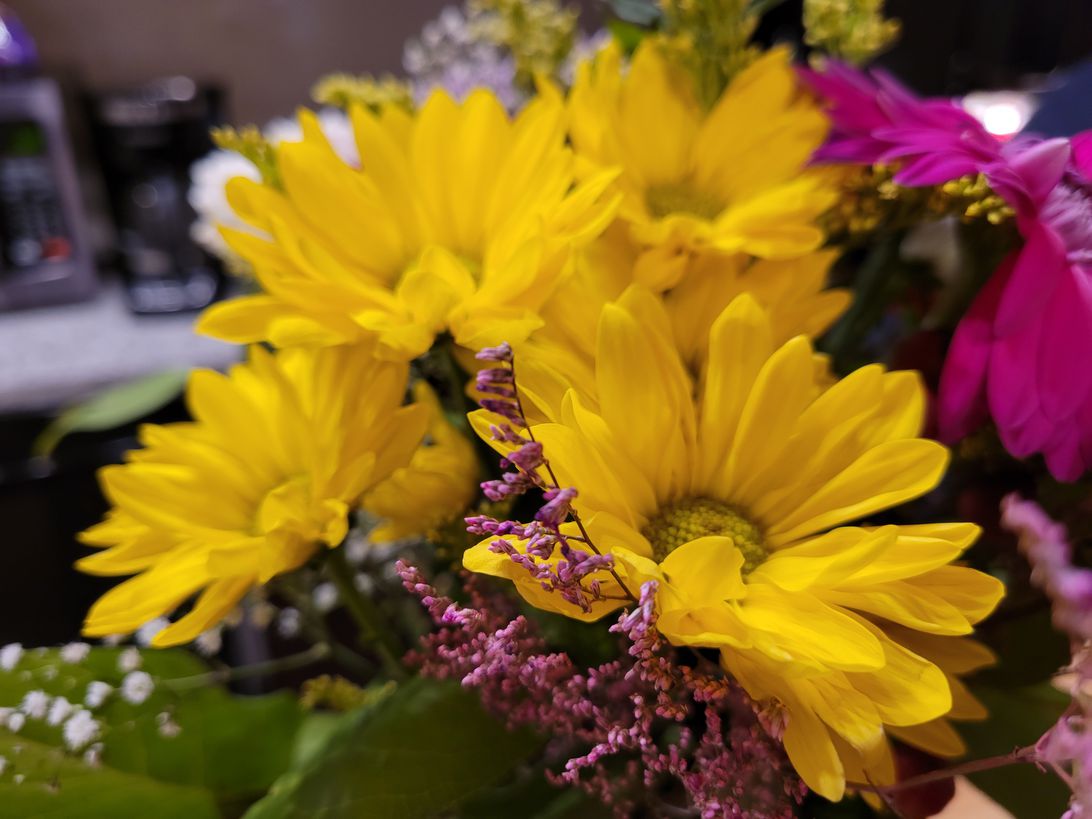 galaxy-s21-flowers-yellow