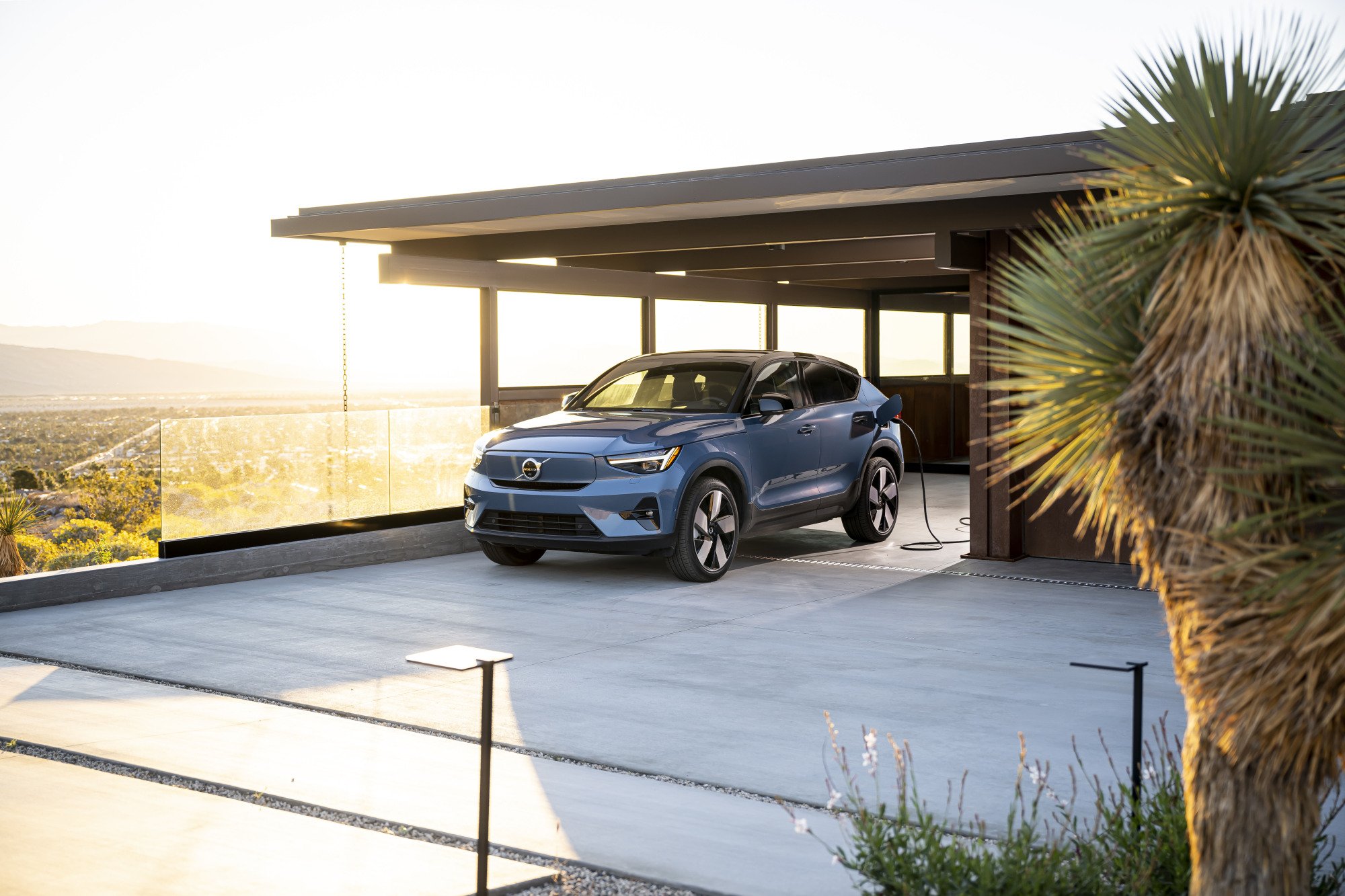 A car facing forward while in an open glass garage with a yucca plant on the right side.