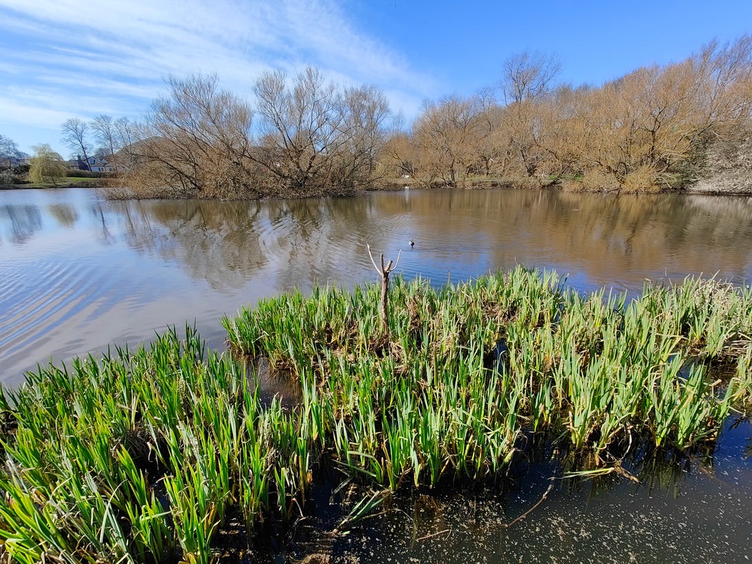 oneplus-10-pro-outdoor-4