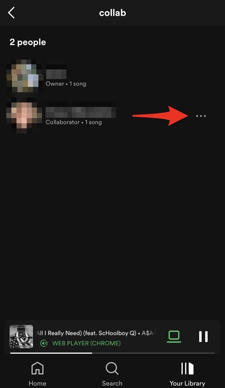 Screenshot pointing to the three dots next to a collaborator's name. 