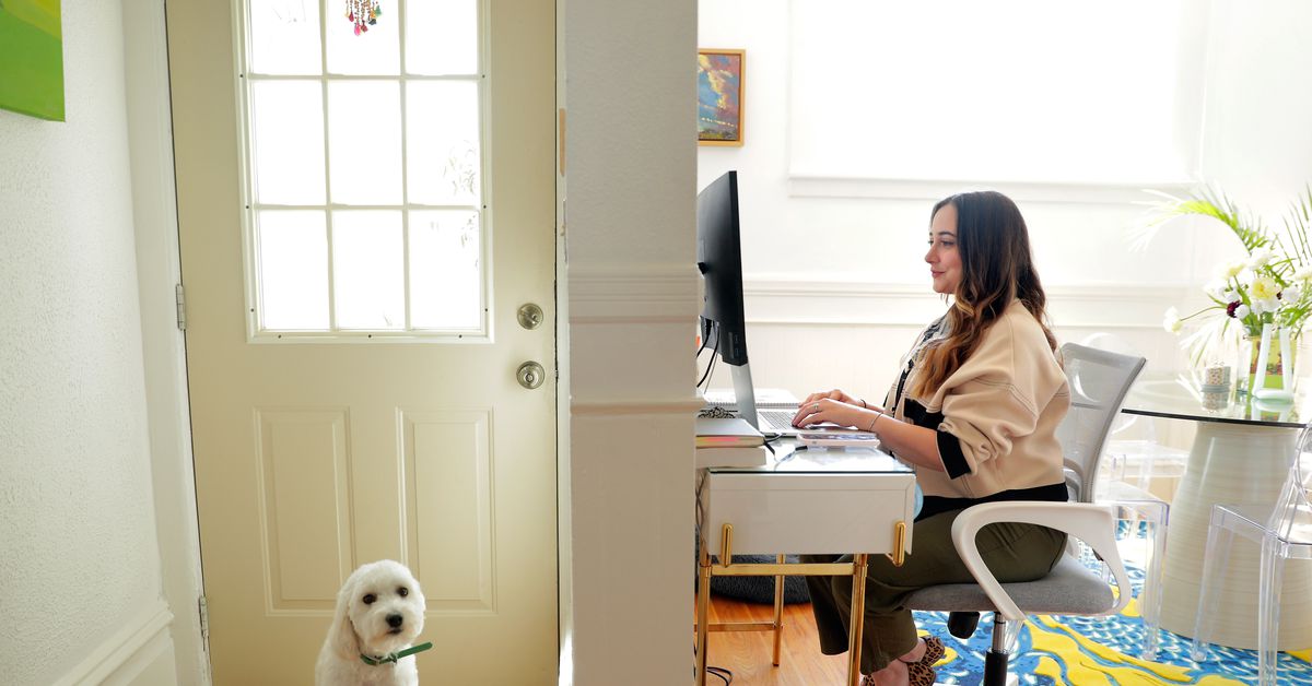 Americans who work from home are getting more productive